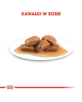 Royal Canin Maxi Adult Karma Mokra W Sosie Dla Psów Dorosłych, Do 5 Roku Życia, Ras Dużych Saszetka 140G