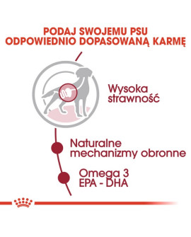 Royal Canin Medium Adult Karma Mokra W Sosie Dla Psów Dorosłych, Ras Średnich Saszetika 140G