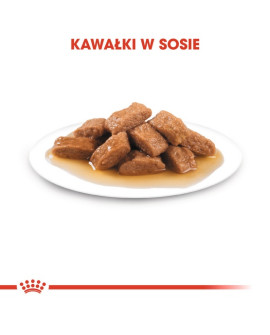 Royal Canin Medium Adult Karma Mokra W Sosie Dla Psów Dorosłych, Ras Średnich Saszetika 140G