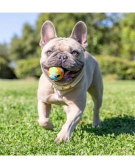 Chuckit! Eco Fetch Ball Small 2Pak [37163]