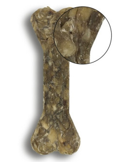 Bubalicious Kość Puppy & Senior Z Krewetką, Owocami Dzikiej Róży I Witaminami 17Cm [3723]