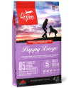 Orijen Puppy Large Breed 11,4Kg