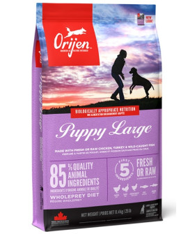 Orijen Puppy Large Breed 11,4Kg