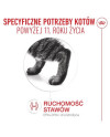 Royal Canin Ageing +11 Karma Mokra Dla Kotów Dojrzałych W Galaretce Saszetka 85G