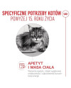 Royal Canin Ageing +15 Karma Mokra Dla Kotów Dojrzałych W Sosie Saszetka 85G