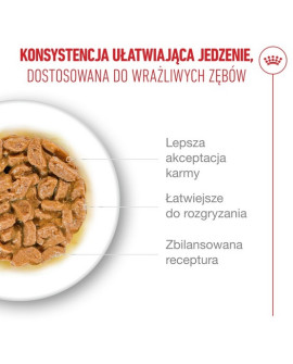 Royal Canin Ageing +15 Karma Mokra Dla Kotów Dojrzałych W Sosie Saszetka 85G