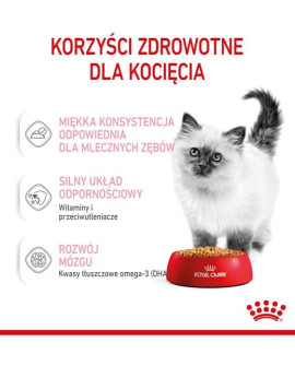 Royal Canin Kitten W Galaretce Karma Mokra Dla Kociąt Do 12 Miesiąca Życia Saszetka 85G