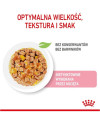 Royal Canin Kitten W Galaretce Karma Mokra Dla Kociąt Do 12 Miesiąca Życia Saszetka 85G
