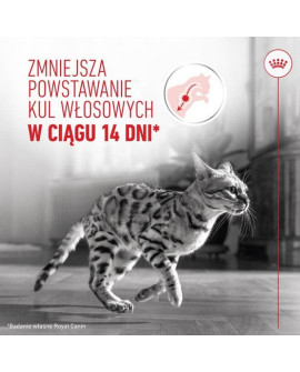 Royal Canin Hairball Care W Sosie Karma Mokra W Sosie Dla Kotów Dorosłych, Eliminacja Kul Włosowych Saszetka 85G