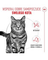 Royal Canin Hair & Skin Care W Sosie  Karma Mokra Dla Kotów Dorosłych, Zdrowa Skóra, Piękna Sierść Saszetka 85G