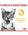 Royal Canin Sensory Taste W Sosie Karma Mokra Dla Kotów Dorosłych Saszetka 85G