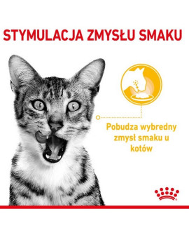 Royal Canin Sensory Taste W Sosie Karma Mokra Dla Kotów Dorosłych Saszetka 85G
