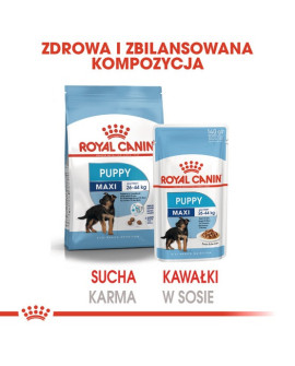 Royal Canin Maxi Puppy karma mokra w sosie dla szczeniąt, od 2 do 15 miesiąca życia, ras dużych saszetka 140g