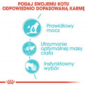 Royal Canin Urinary Care sosie karma mokra w sosie dla kotów dorosłych, ochrona dolnych dróg moczowych saszetka 85g