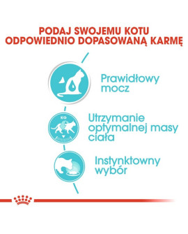 Royal Canin Urinary Care sosie karma mokra w sosie dla kotów dorosłych, ochrona dolnych dróg moczowych saszetka 85g