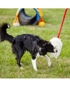 Dingo Zabawka dla psa - Szarpak Naturalne futro owcze bungee zielony