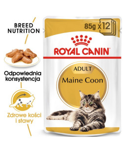 Royal Canin Maine Coon karma mokra w sosie dla kotów dorosłych rasy maine coon saszetka 85g