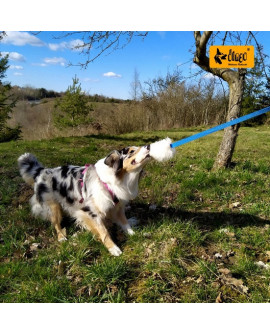 Dingo Zabawka dla psa - Szarpak Naturalne futro owcze z długą rączką fioletowy