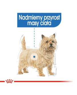 Royal Canin Light Weight Care karma mokra dla psów dorosłych, wszystkich ras z tendencją do nadwagi saszetka 85g