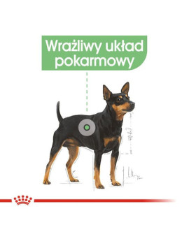 Royal Canin Digestive Care karma mokra dla psów dorosłych, wszystkich ras o wrażliwym przewodzie pokarmowym saszetka 85g