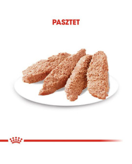 Royal Canin Digestive Care karma mokra dla psów dorosłych, wszystkich ras o wrażliwym przewodzie pokarmowym saszetka 85g