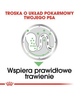 Royal Canin Digestive Care karma mokra dla psów dorosłych, wszystkich ras o wrażliwym przewodzie pokarmowym saszetka 85g