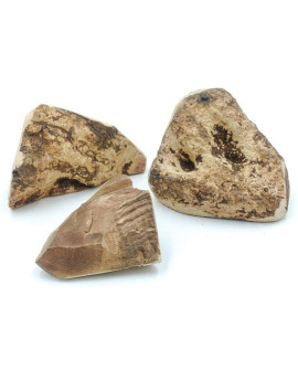 4DOGS Gryzak z korzenia drzewa wrzosowego S