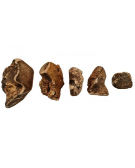 4DOGS Gryzak z korzenia drzewa wrzosowego S