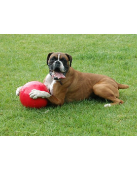 Boomer Ball M - 6" / 15cm czerwona