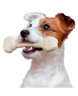 Ferplast GoodBite Natural SinglePack Kurczak 1szt M 70g