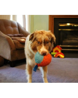 Chuckit! Indoor Ball [213201]