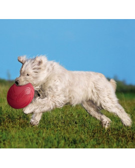 Trixie Frisbee Dysk Dog Disc 24cm [TX-33503]