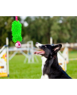 Dingo Zabawka dla psa - Szarpak Mop Bungee z piłką zielony