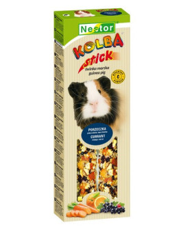 Nestor Kolba Świnka morska porzeczki i pomarańcze 2szt