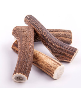 4DOGS Gryzak z poroża M hard