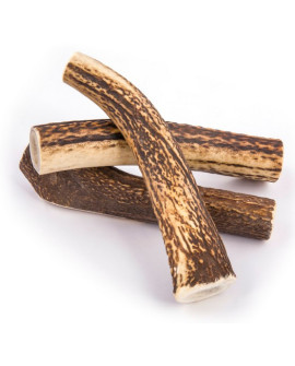 4DOGS Gryzak z poroża M hard