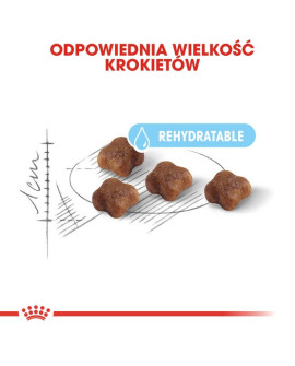 Royal Canin Mother&Babycat karma sucha dla kotek w okresie ciąży, laktacji i kociąt od 1 do 4 miesiąca 400g