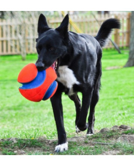 Chuckit! Kick Fetch Large [251201]
