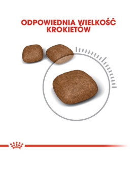 Royal Canin Urinary Care karma sucha dla kotów dorosłych, ochrona dolnych dróg moczowych 400g