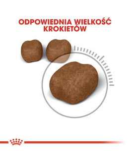 Royal Canin Oral Care karma sucha dla kotów dorosłych, redukująca odkładanie kamienia nazębnego 400g