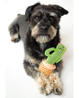 Dingo Zabawka dla psa - Kaktus Dolores 19cm