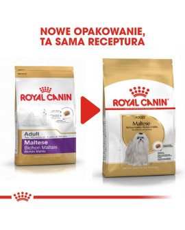 Royal Canin Maltese Adult karma sucha dla psów dorosłych rasy maltańczyk 500g