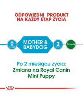 Royal Canin Mini Starter Mother&Babydog karma sucha dla szczeniąt do 2 miesiąca i suk karmiących ras małych 1kg