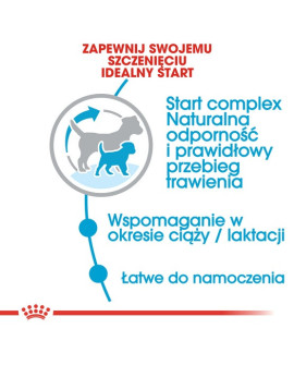 Royal Canin Mini Starter Mother&Babydog karma sucha dla szczeniąt do 2 miesiąca i suk karmiących ras małych 1kg