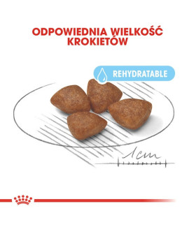 Royal Canin Mini Starter Mother&Babydog karma sucha dla szczeniąt do 2 miesiąca i suk karmiących ras małych 1kg