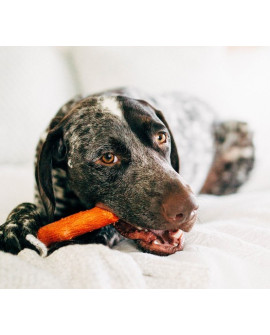 Petstages DogWood Mesquite small patyk PS30143