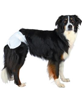 Trixie Pieluchy/Majtki dla suki 12szt/op  XS-S  [23631]