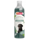 Beaphar Szampon do czarnej i ciemnej sierści 250ml