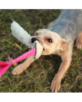 Dingo Zabawka dla psa - Szarpak Wełna owcza z rączką bungee różowy