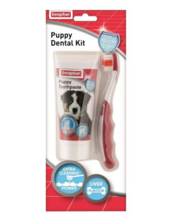 Beaphar Puppy Dental Kit - szczoteczka i pasta do zębów 50g